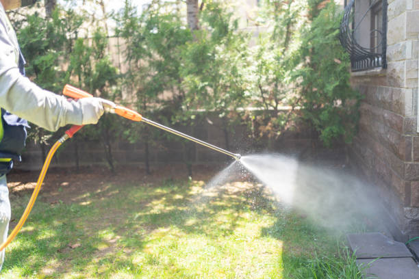 Best Organic or Eco-Friendly Pest Control  in Pleasant Hills, PA